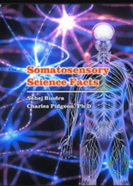 Somatosensory Science Facts